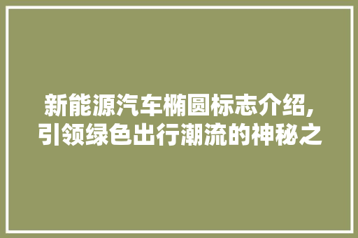 新能源汽车椭圆标志介绍,引领绿色出行潮流的神秘之车