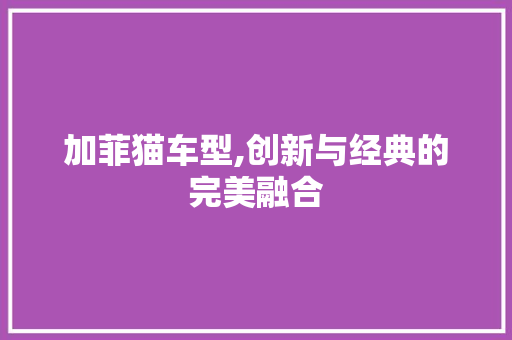 加菲猫车型,创新与经典的完美融合