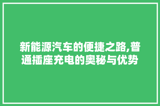 新能源汽车的便捷之路,普通插座充电的奥秘与优势
