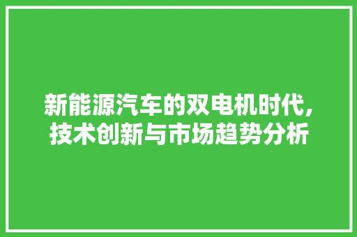 新能源汽车的双电机时代,技术创新与市场趋势分析 汽车配件
