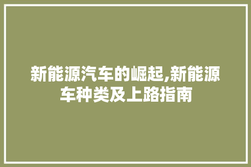 新能源汽车的崛起,新能源车种类及上路指南