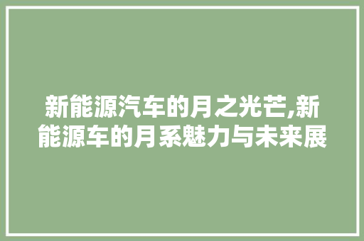 新能源汽车的月之光芒,新能源车的月系魅力与未来展望