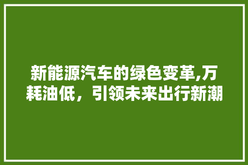 新能源汽车的绿色变革,万耗油低，引领未来出行新潮流