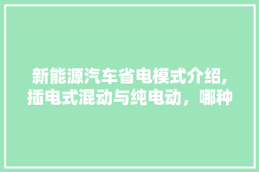 新能源汽车省电模式介绍,插电式混动与纯电动，哪种更胜一筹