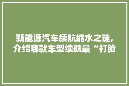 新能源汽车续航缩水之谜,介绍哪款车型续航最“打脸”