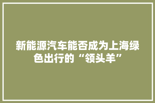 新能源汽车能否成为上海绿色出行的“领头羊”