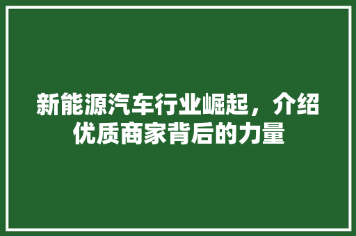 新能源汽车行业崛起，介绍优质商家背后的力量