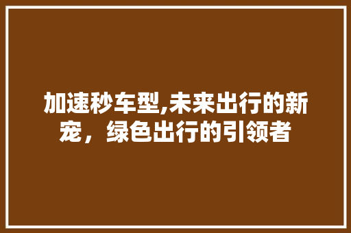 加速秒车型,未来出行的新宠，绿色出行的引领者