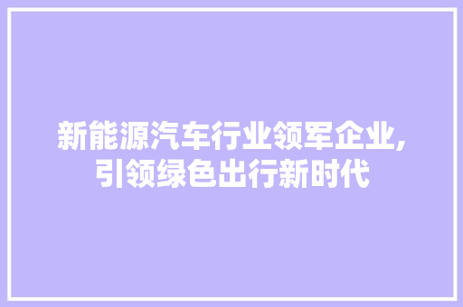 新能源汽车行业领军企业,引领绿色出行新时代