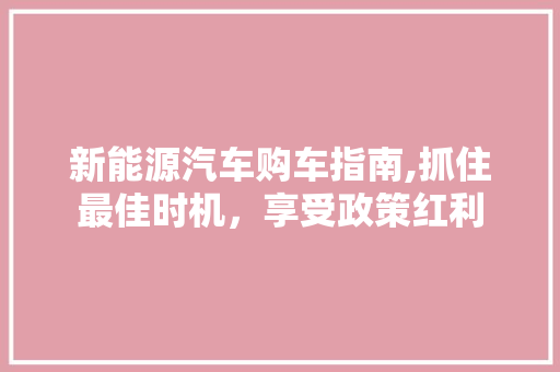 新能源汽车购车指南,抓住最佳时机，享受政策红利