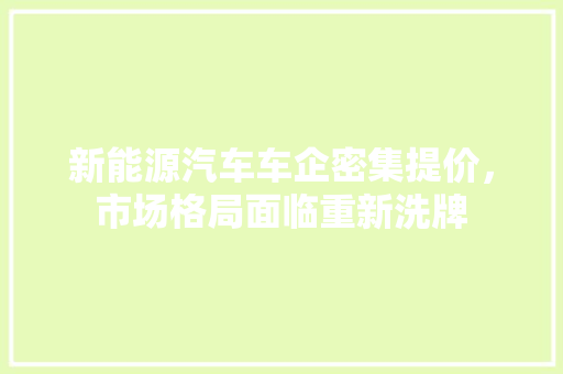 新能源汽车车企密集提价，市场格局面临重新洗牌