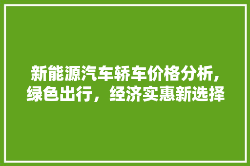 新能源汽车轿车价格分析,绿色出行，经济实惠新选择
