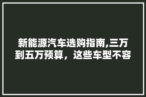 新能源汽车选购指南,三万到五万预算，这些车型不容错过