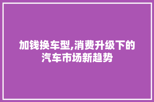 加钱换车型,消费升级下的汽车市场新趋势