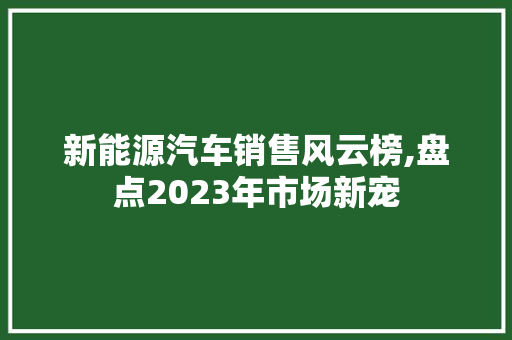 新能源汽车销售风云榜,盘点2023年市场新宠