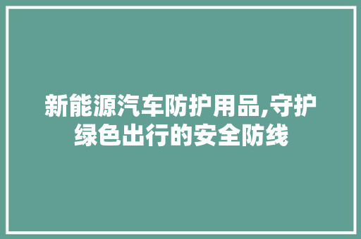 新能源汽车防护用品,守护绿色出行的安全防线