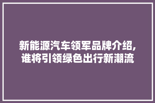 新能源汽车领军品牌介绍,谁将引领绿色出行新潮流 车灯配件