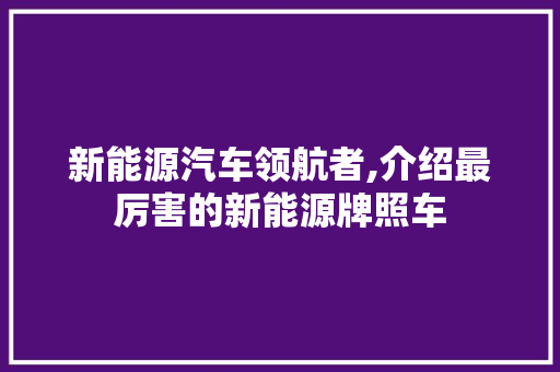 新能源汽车领航者,介绍最厉害的新能源牌照车