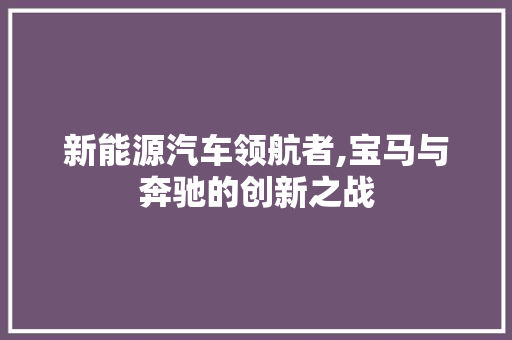 新能源汽车领航者,宝马与奔驰的创新之战 新能源汽车