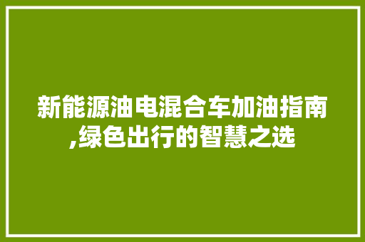 新能源油电混合车加油指南,绿色出行的智慧之选 车灯配件
