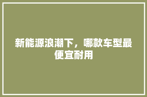 新能源浪潮下，哪款车型最便宜耐用