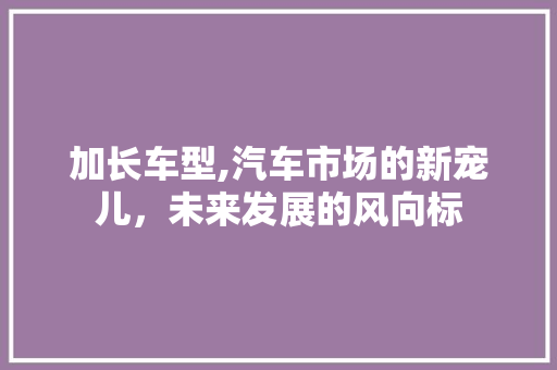 加长车型,汽车市场的新宠儿，未来发展的风向标