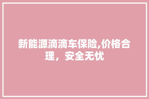 新能源滴滴车保险,价格合理，安全无忧