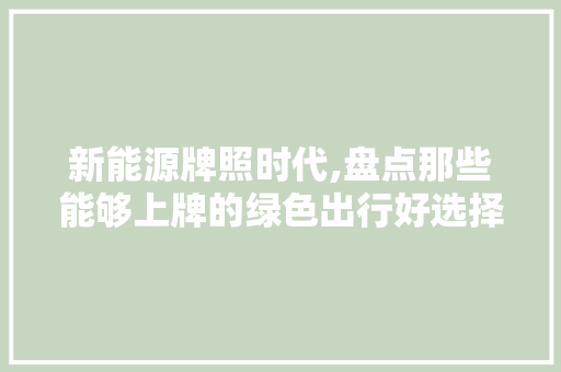 新能源牌照时代,盘点那些能够上牌的绿色出行好选择