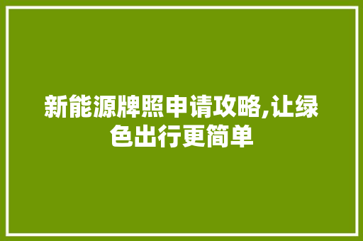 新能源牌照申请攻略,让绿色出行更简单