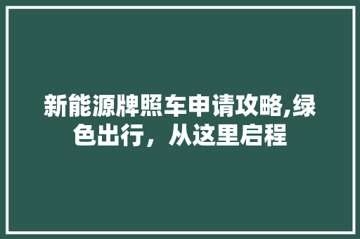 新能源牌照车申请攻略,绿色出行，从这里启程