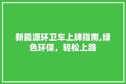 新能源环卫车上牌指南,绿色环保，轻松上路