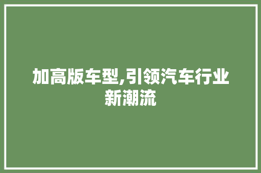 加高版车型,引领汽车行业新潮流