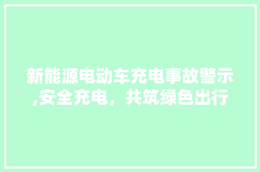 新能源电动车充电事故警示,安全充电，共筑绿色出行未来