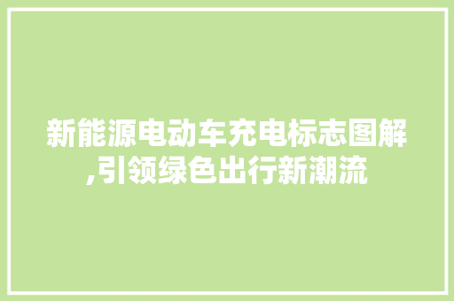新能源电动车充电标志图解,引领绿色出行新潮流