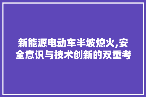 新能源电动车半坡熄火,安全意识与技术创新的双重考验