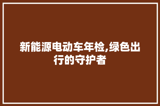 新能源电动车年检,绿色出行的守护者