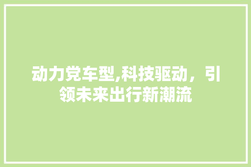 动力党车型,科技驱动，引领未来出行新潮流