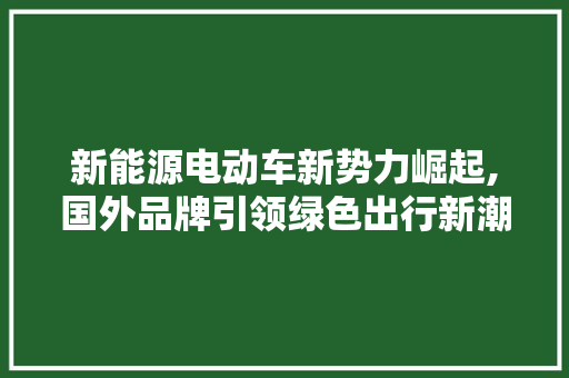 新能源电动车新势力崛起,国外品牌引领绿色出行新潮流