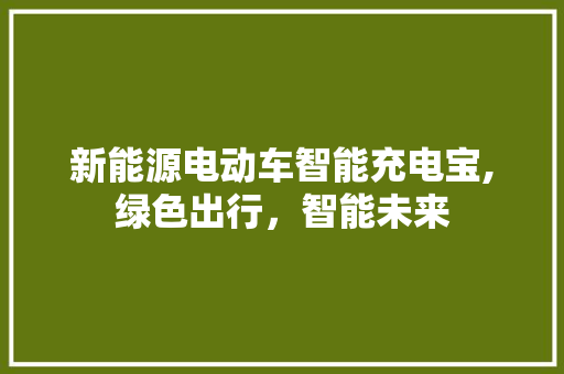 新能源电动车智能充电宝,绿色出行，智能未来