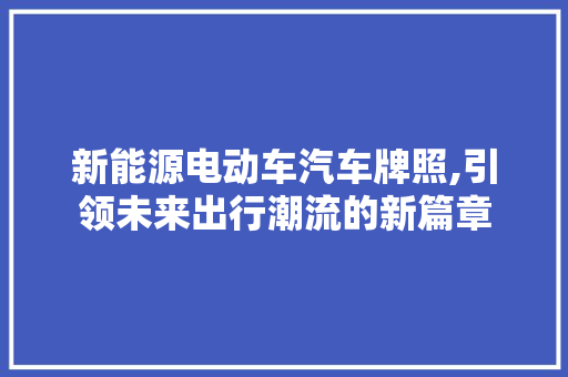 新能源电动车汽车牌照,引领未来出行潮流的新篇章