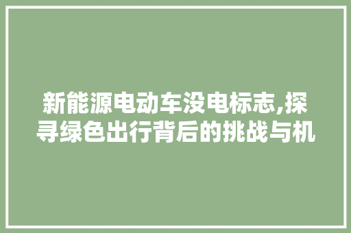 新能源电动车没电标志,探寻绿色出行背后的挑战与机遇