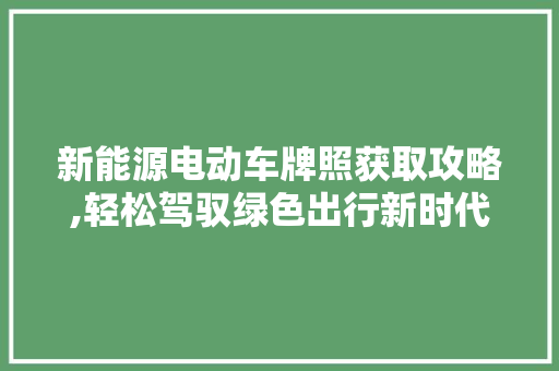 新能源电动车牌照获取攻略,轻松驾驭绿色出行新时代