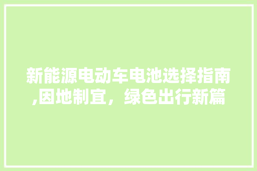 新能源电动车电池选择指南,因地制宜，绿色出行新篇章