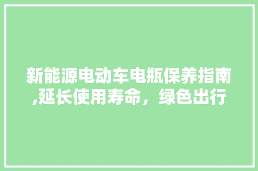 新能源电动车电瓶保养指南,延长使用寿命，绿色出行无忧 车身配件