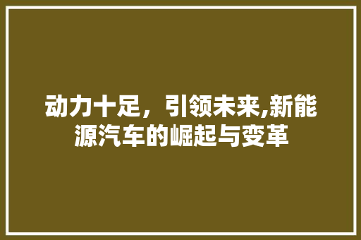 动力十足，引领未来,新能源汽车的崛起与变革