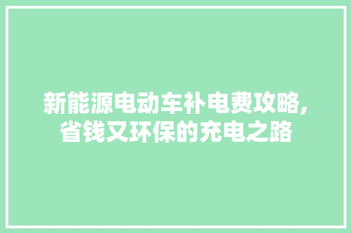 新能源电动车补电费攻略,省钱又环保的充电之路
