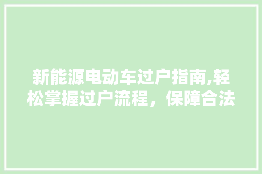 新能源电动车过户指南,轻松掌握过户流程，保障合法权益