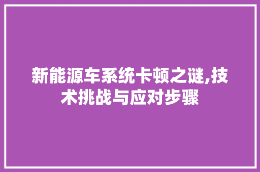 新能源车系统卡顿之谜,技术挑战与应对步骤