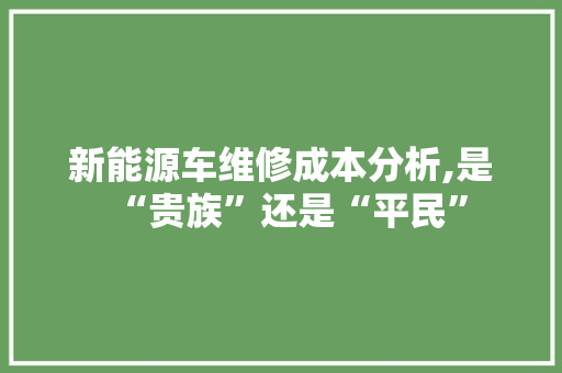 新能源车维修成本分析,是“贵族”还是“平民”