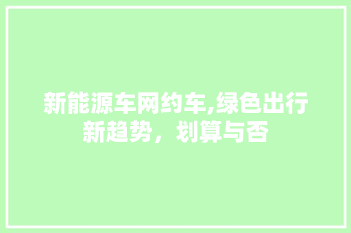 新能源车网约车,绿色出行新趋势，划算与否